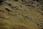 rangers path mtb trail snowdon