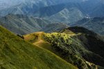 Molini ebike singletrack descent