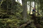 whistler mtb holiday tour