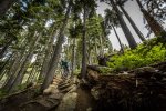 whistler mtb holiday tour