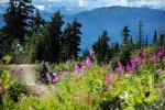 whistler mtb holiday tour