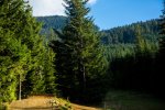 whistler mtb holiday tour