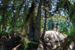 whistler mtb holiday tour