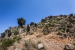 ELBA MTB