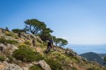 RIDING IN ELBA