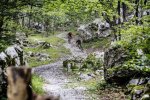 slovenia single track 