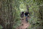 TUSCANY BIKE TOUR