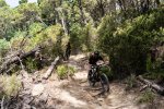 TUSCANY MTB