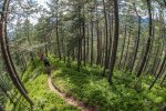 Slovenia MTB TOUR