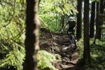 Slovenia MTB TOUR