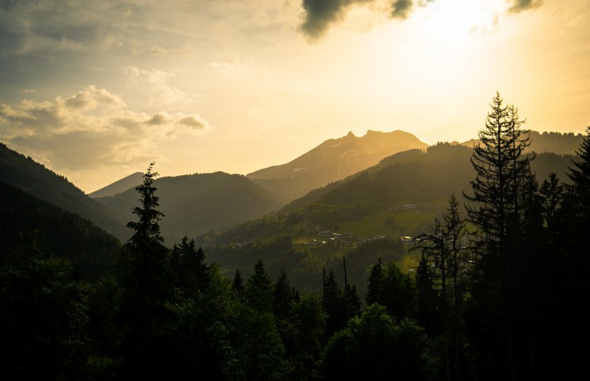 The Mountain Bike Holiday Company