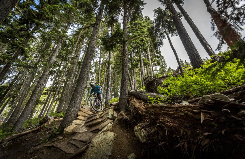 guided mountain bike tours whistler