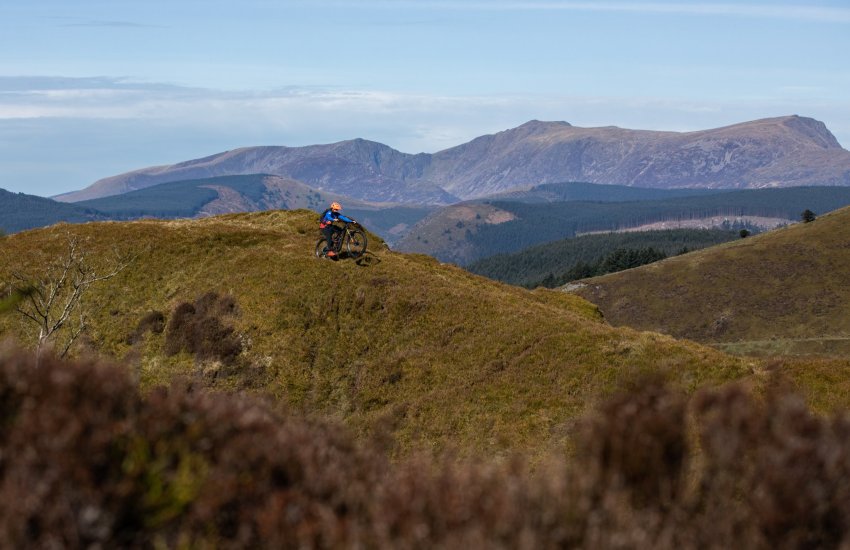 Thank you for signing up